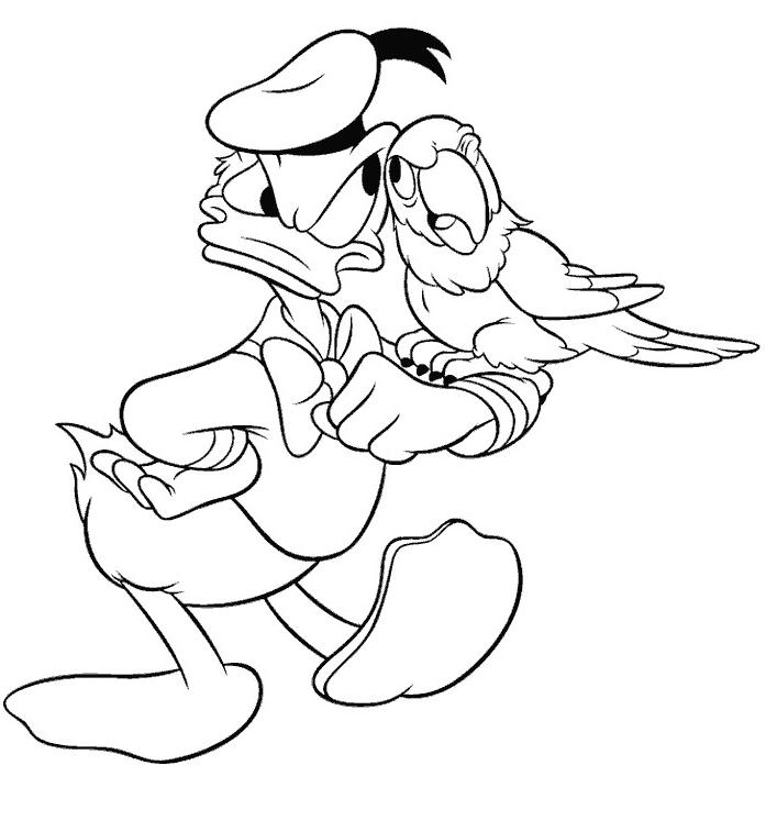 coloriage donald et son perroquet